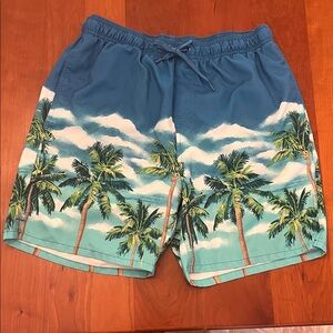 Old Navy Mens Swim Trunks L